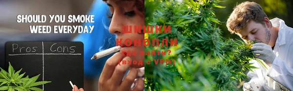 PSILOCYBIN Магас